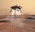 Phoenix landing_tiny